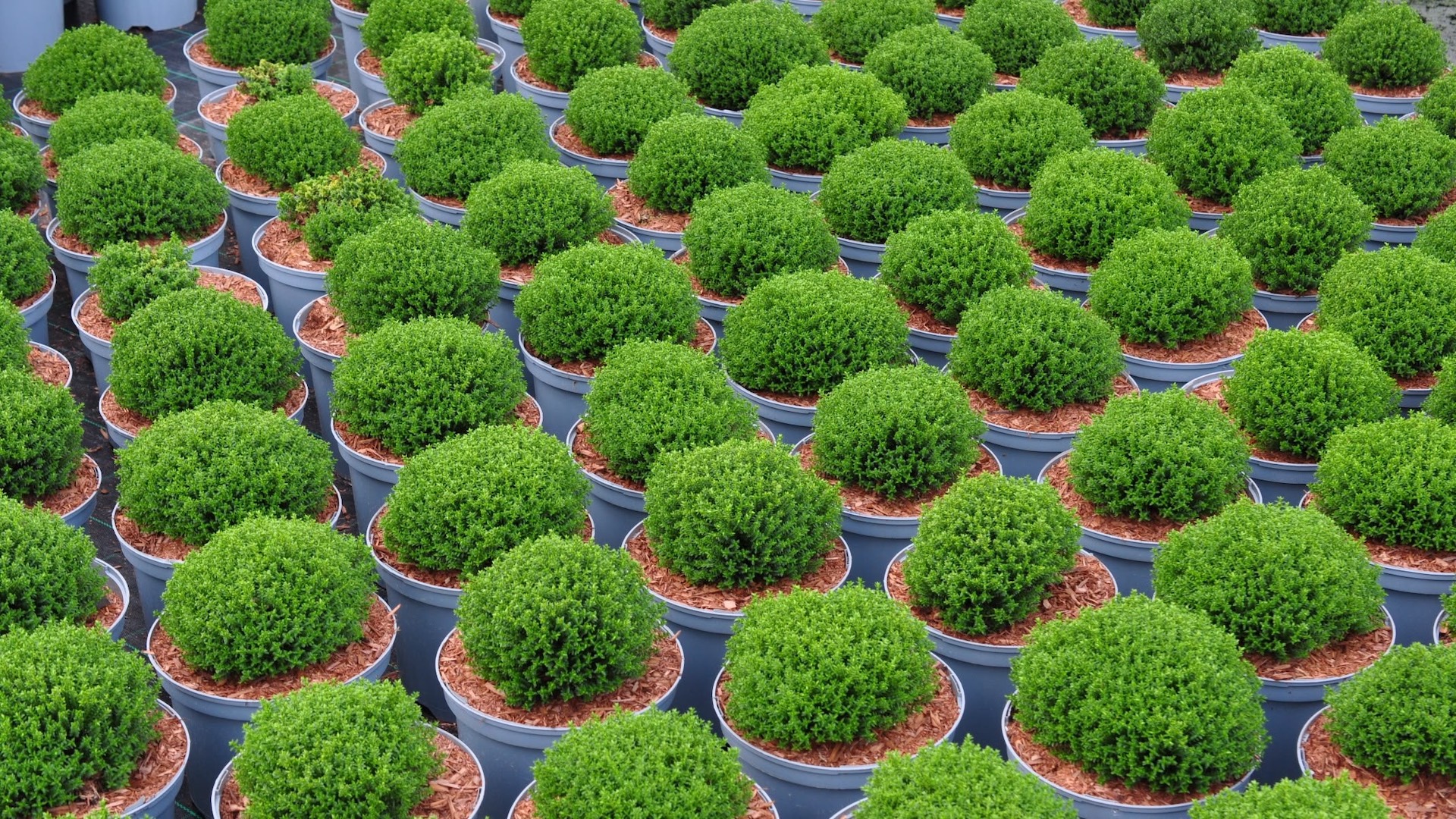 Unbeatable provenance and quality