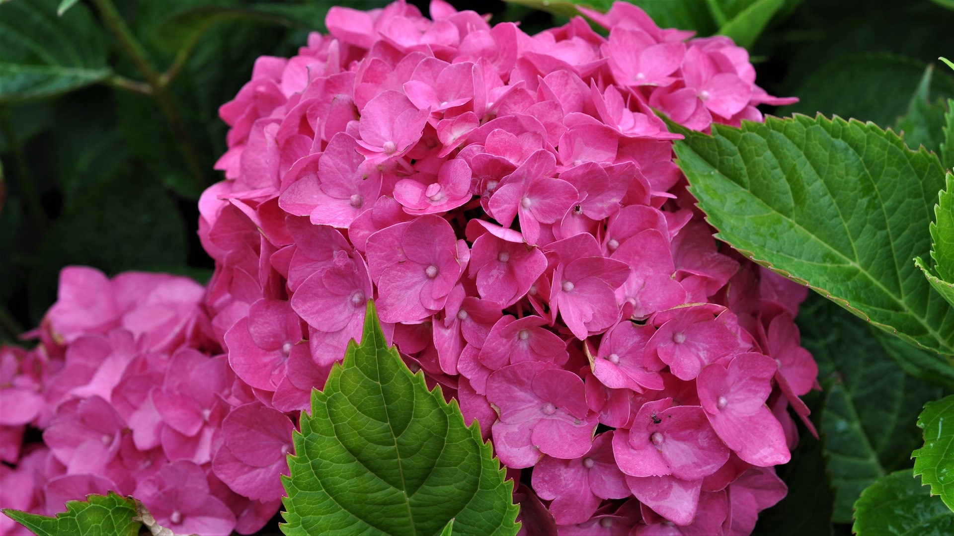 Your planting plans are covered