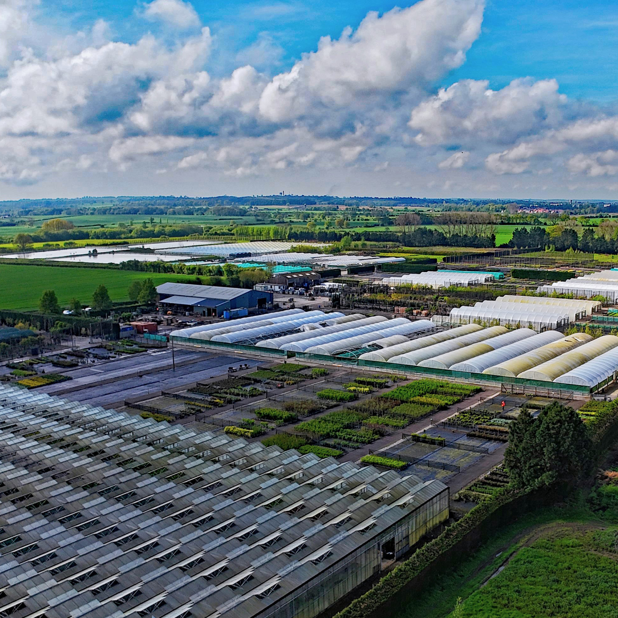 Palmstead Nursery Planet 4