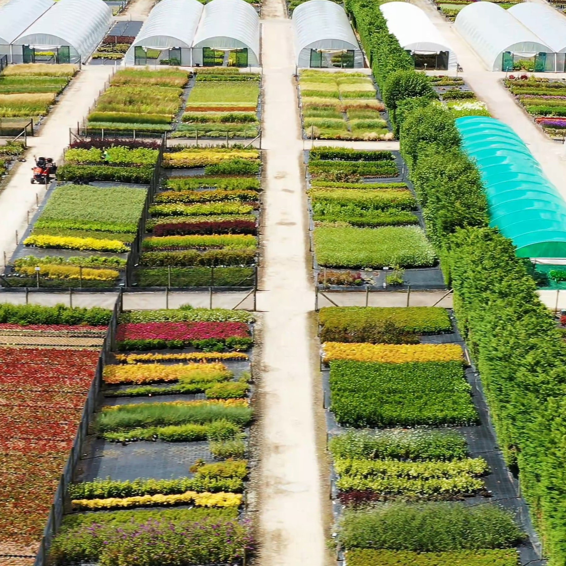 Palmstead Nursery Shop 5